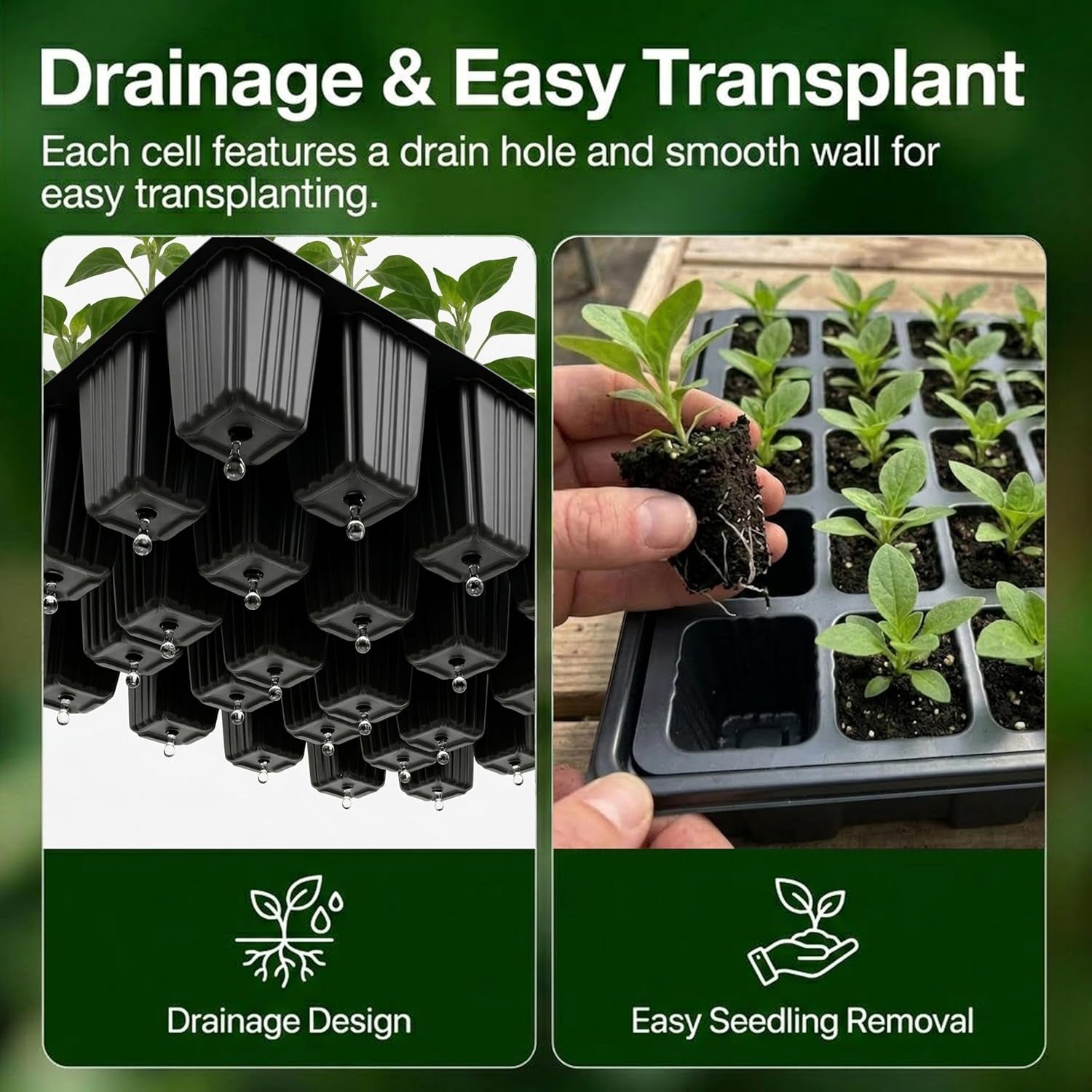 5-Set Garden Propagator Set, Seed Tray Kits with 200-Cell, Seed Starter Tray with Dome and Base 15" X 9" (40-Cell per Tray)